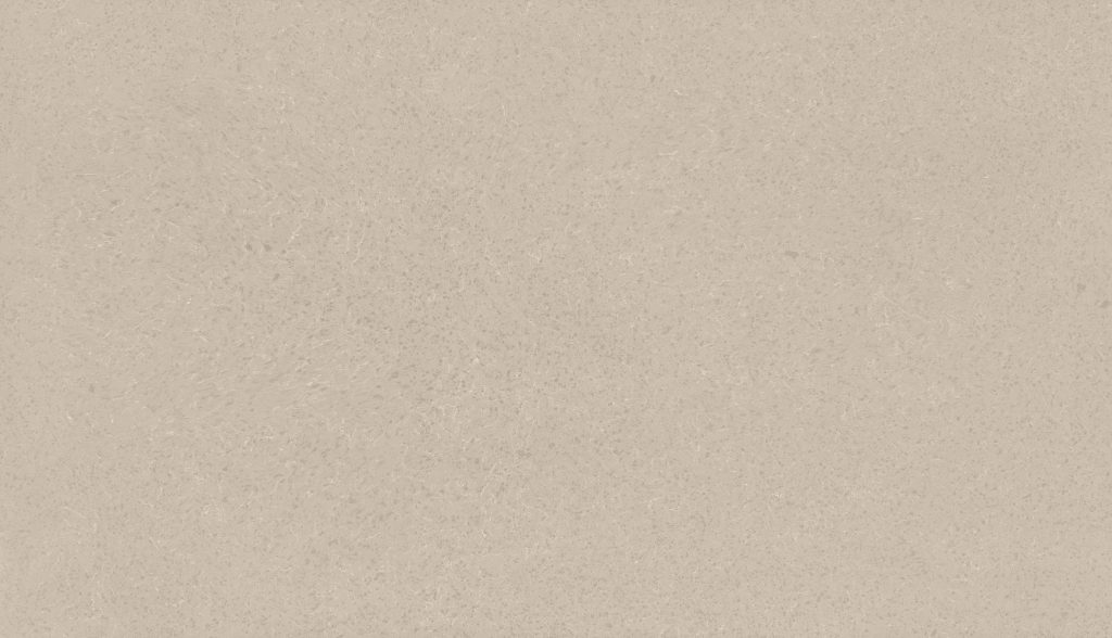 Everest White — Placa completa