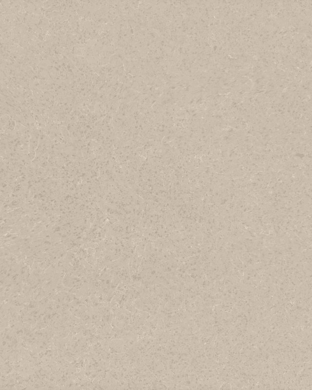 Everest White quartz slab – polished finish