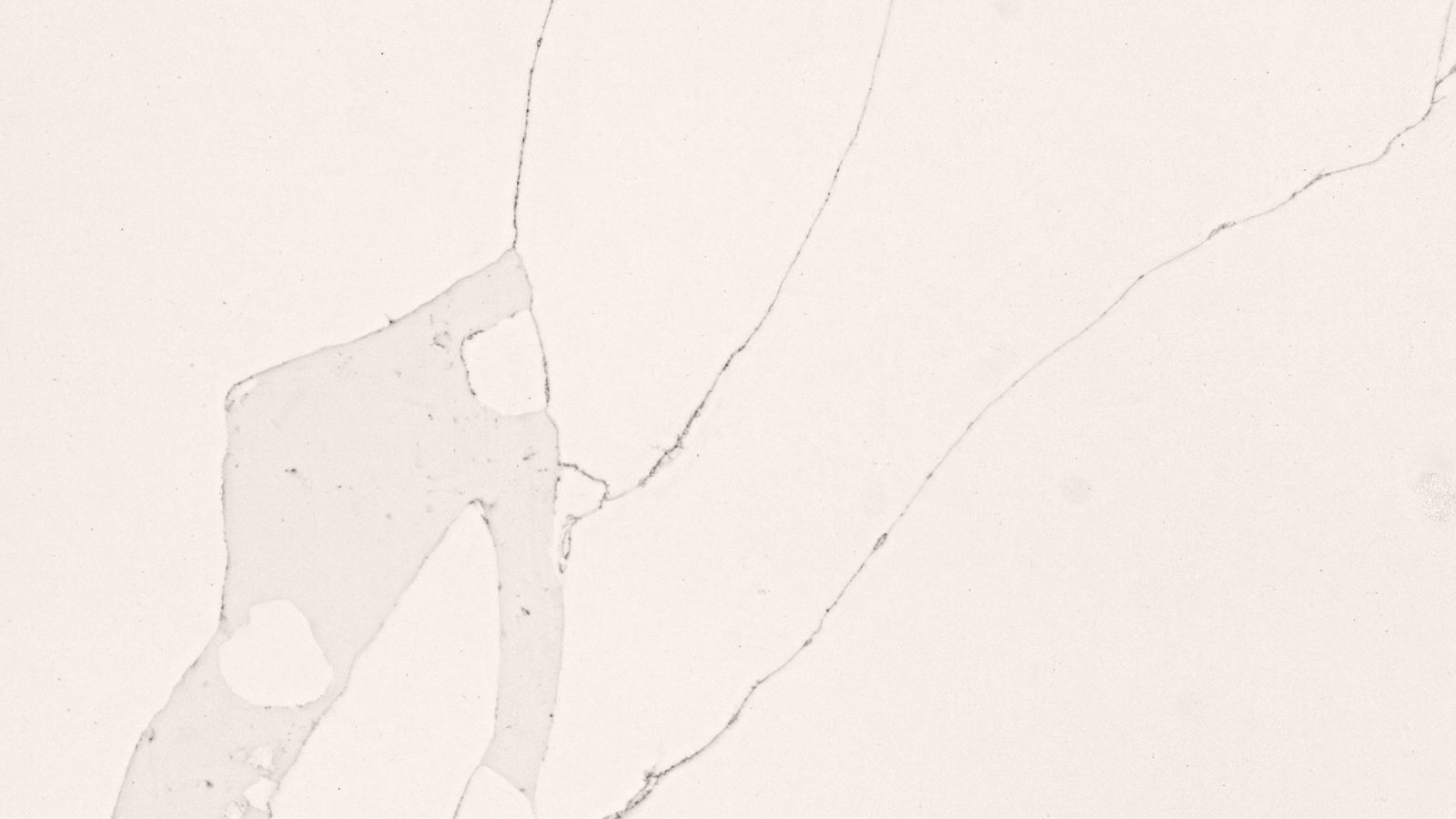 Close detail of the veining in Palace Calacatta polished quartz